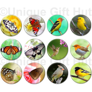 Butterfly & Birds Fridge Magnets, 1.25" Round Kitchen Magnets, set of 12